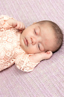 Karlee's Newborn Session