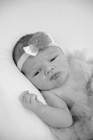 IMG_2092-2